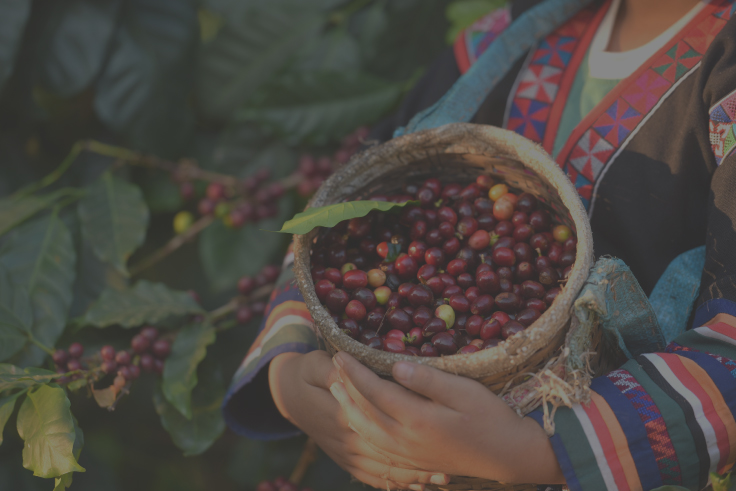 video coffee natural